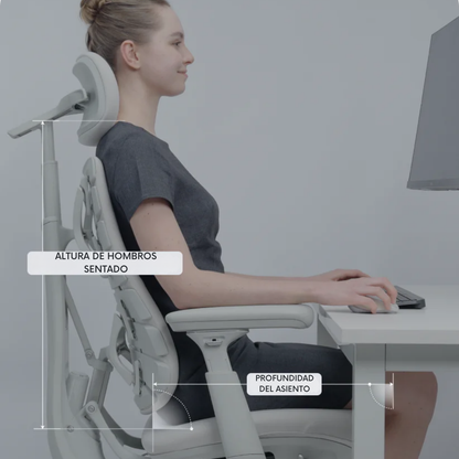 Silla Ergonómica BackReset™